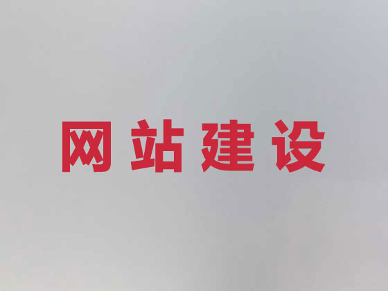如皋专业网站设计